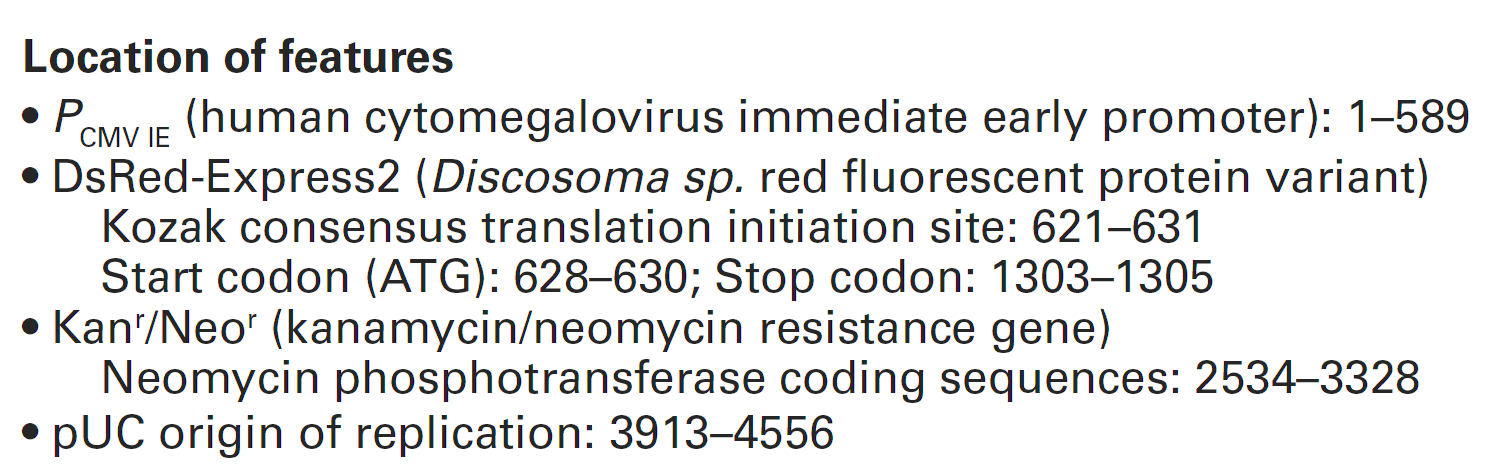 pCMV-DsRed-Express2 载体特征